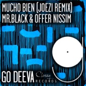 Mucho Bien (Joezi Extended Remix) artwork