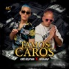 Tamos Caros - Single