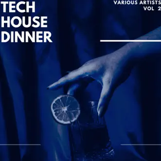 Tech House Dinner, Vol. 2 by Various Artists album reviews, ratings, credits