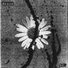 Drain - Single