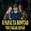 Stream & download O Papai Ta Bonitão, Vou Pagar Copão (feat. mc Marofa & Mc Rd)