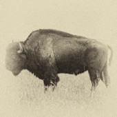 The Return of the Buffalo artwork