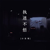 执迷不悟 (0.8倍速DJ版) artwork