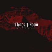 Things I Know artwork