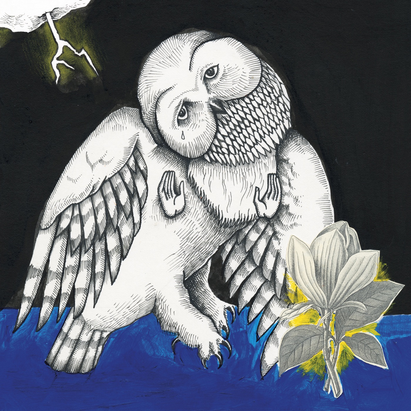 Magnolia Electric Co by Songs: Ohia