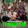 Te Molesta - Single