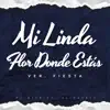 Mi Linda Flor Donde Estas (feat. El Pueblo) [Version Fiesta] song lyrics