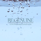 RE:GENUINE (Genuine instrumental remix) artwork