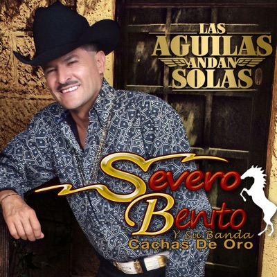 Las Aguilas Andan Solas - Severo Benito | Shazam