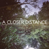 A Closer Distance artwork