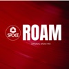 Roam - Single