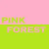 Pink Park - Single album lyrics, reviews, download