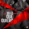 Yo lo Que Quiero - Single