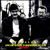 Vedalar Ancak Güzel Yürekleri Acıtır artwork