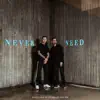 Never Need - Single album lyrics, reviews, download