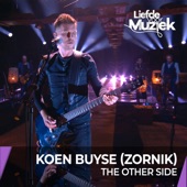 The Other Side (Live - uit Liefde Voor Muziek) artwork