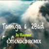 In Havana (Extended Remix) - Single