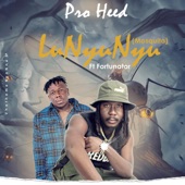 Pro Heed (Lunyunyu (Mosquito) (feat. Fortunator) artwork