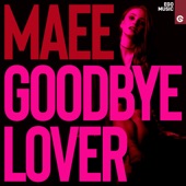 Goodbye Lover artwork