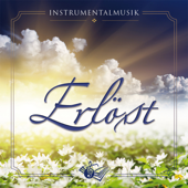 Erlöst - Voice of Hope Music