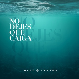 No Dejes Que Caiga - Single