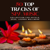 50 TOP Tracks of Spa Music - Collection for Hotels, Spas, Lounge Wellness - Total Bryan