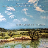 In the Shadow of a Cloud (feat. Chris Potter, Adam Rogers, Drew Gress & Gerald Cleaver) - Yelena Eckemoff Quintet