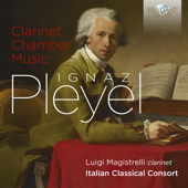 Quintet in C Major, B.281: III. Allegro - Luigi Magistrelli & Italian Classical Consort