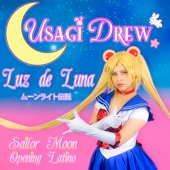 Luz de Luna (Sailor Moon Opening Latino) artwork