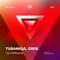 Your Reflection (Oleg Espo Remix) - TuraniQa & Grek lyrics