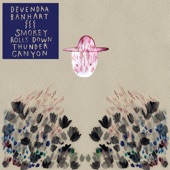 Devendra Banhart - Shabop Shalom