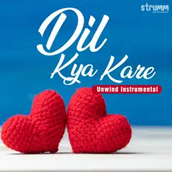 Dil Kya Kare (Unwind Instrumental) - Single by Shomu Seal & Raj Singh Sodha album reviews, ratings, credits