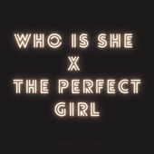 Who Is She X the Perfect Girl (Remix) artwork