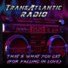 That's What You Get (For Falling In Love) - Single