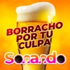 Borracho Por Tu Culpa - Single