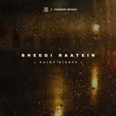 Bheegi Raatein (Rainy Nights) artwork