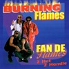 Fan De Flames: 2 Hot 2 Handle, 1997