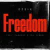 Freedom (feat. Paradox & the Symbol) [Fulton Sheen Cypher] - Single album lyrics, reviews, download