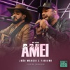 Sempre Te Amei (Estúdio Showlivre Sertanejo) [Ao Vivo] - Single