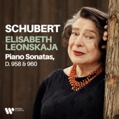 Schubert: Piano Sonatas, D. 958 & 960 artwork