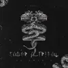 Sabor a Tribal Vol.3 - EP album lyrics, reviews, download