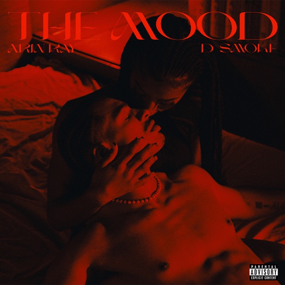 Cover artwork for The Mood (feat. D Smoke)