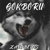 Gökbörü (feat. Kejoo Beats) artwork