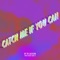 Catch Me If You Can artwork