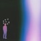 I'm Not Crazy - Kevin Walkman lyrics