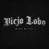Viejo Lobo - Single album lyrics, reviews, download