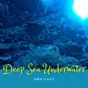 Deep Sea Underwater Ambience album lyrics, reviews, download