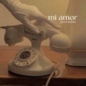 mi amor artwork