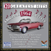 19 Greatest Hits 1964 - Various Artists