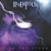 I Am the Storm - Single